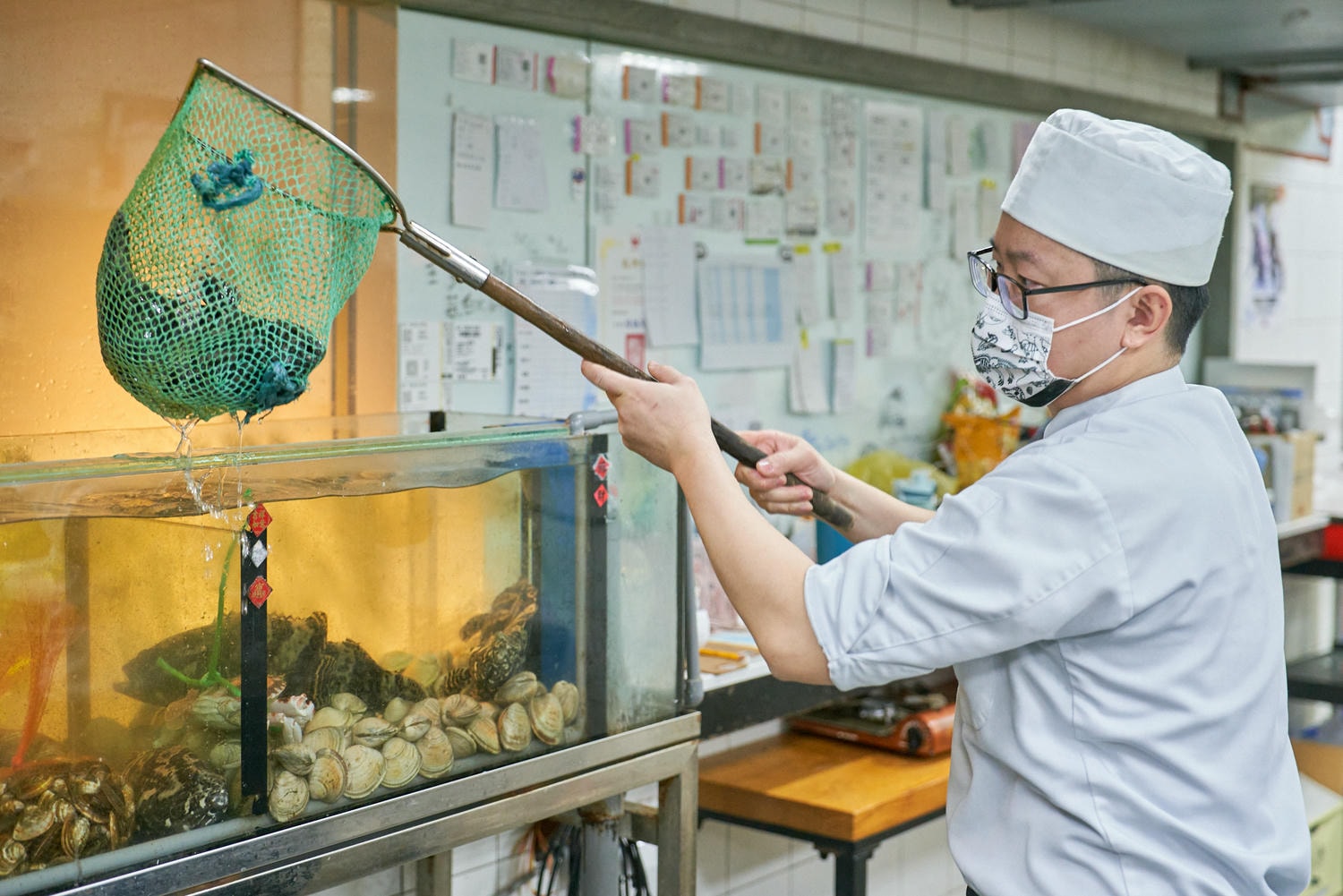 ▌台北美食|台北市隱藏版美食就在「土狗樂市」togo複合式餐飲!親民價格嚐鮮龍膽石斑、A5和牛! ▌ - 第4張圖