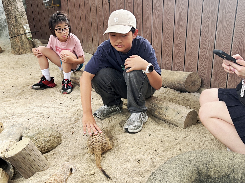 ▌高雄旅遊｜全台唯一近距離就在「野森動物學校」！近距離接觸狐狸、老鷹、狐獴，給孩子最棒的一堂自然課 ▌
