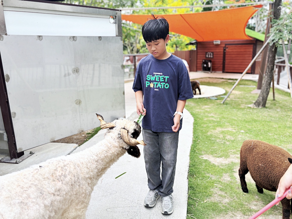 ▌高雄旅遊｜全台唯一近距離就在「野森動物學校」！近距離接觸狐狸、老鷹、狐獴，給孩子最棒的一堂自然課 ▌