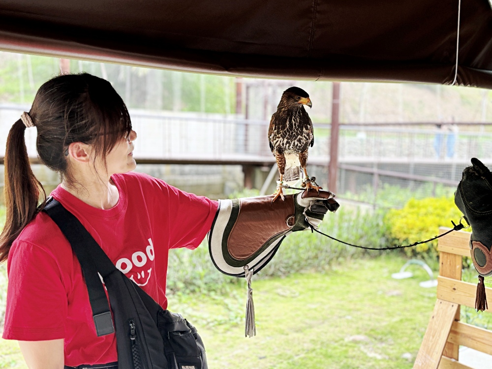 ▌高雄旅遊｜全台唯一近距離就在「野森動物學校」！近距離接觸狐狸、老鷹、狐獴，給孩子最棒的一堂自然課 ▌