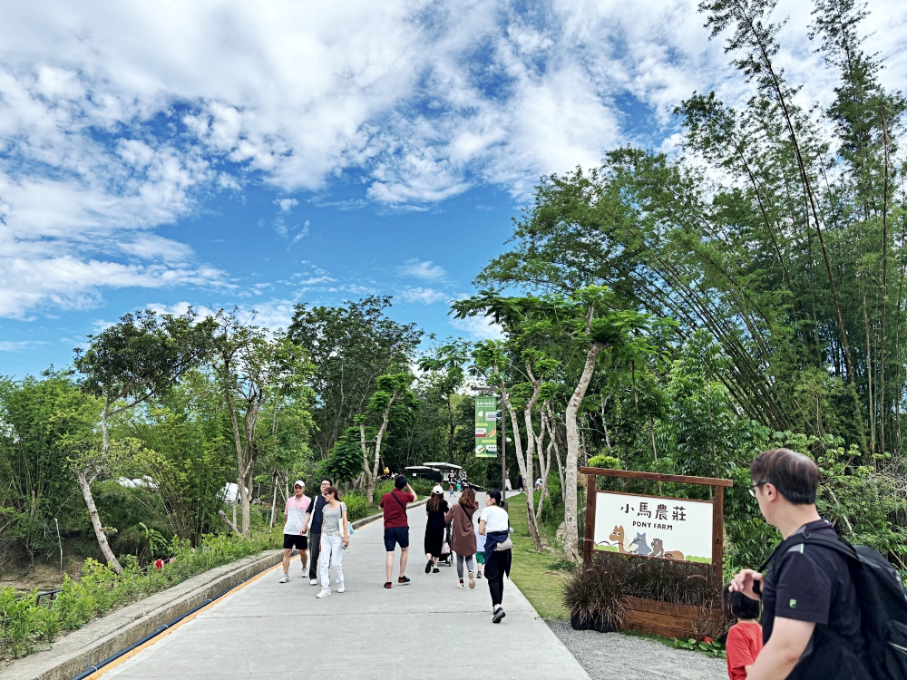 ▌高雄旅遊｜全台唯一近距離就在「野森動物學校」！近距離接觸狐狸、老鷹、狐獴，給孩子最棒的一堂自然課 ▌